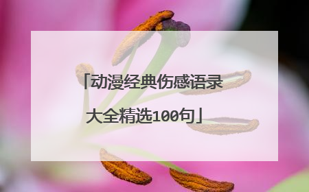 动漫经典伤感语录大全精选100句