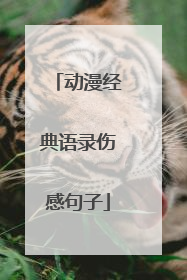 动漫经典语录伤感句子