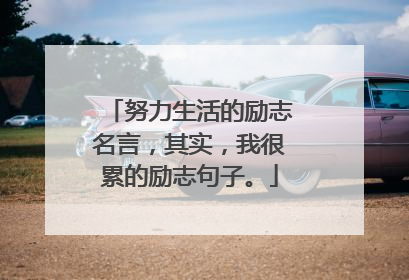 努力生活的励志名言,其实,我很累的励志句子。