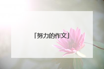 努力的作文
