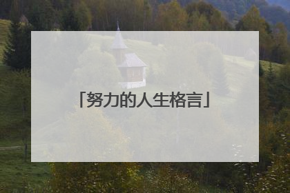 努力的人生格言