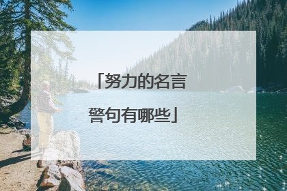 努力的名言警句有哪些
