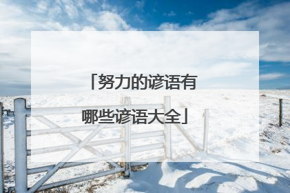 努力的谚语有哪些谚语大全