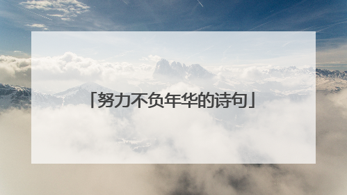 努力不负年华的诗句