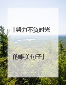 努力不负时光的唯美句子