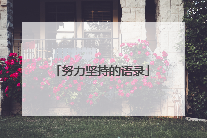 努力坚持的语录