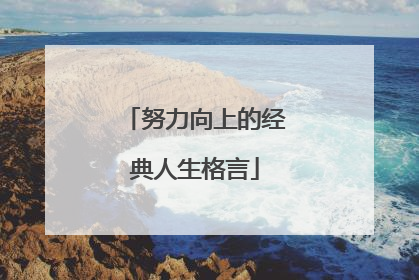 努力向上的经典人生格言