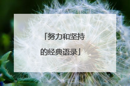 努力和坚持的经典语录