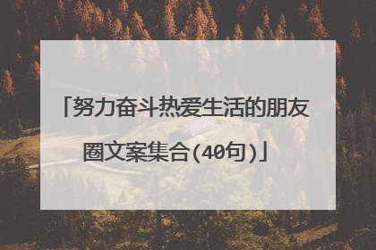 努力奋斗热爱生活的朋友圈文案集合(40句)