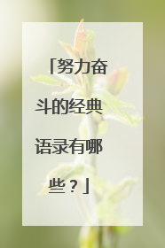 努力奋斗的经典语录有哪些？