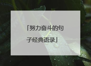 努力奋斗的句子经典语录