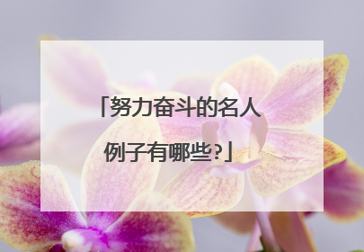 努力奋斗的名人例子有哪些?
