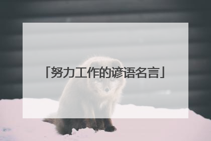 努力工作的谚语名言