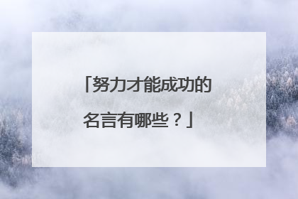 努力才能成功的名言有哪些？