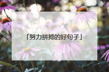 努力拼搏的好句子