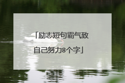 励志短句霸气致自己努力8个字