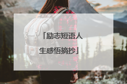 励志短语人生感悟摘抄