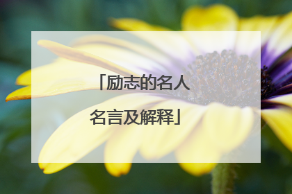 励志的名人名言及解释
