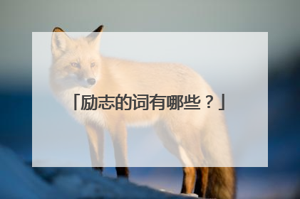 励志的词有哪些？