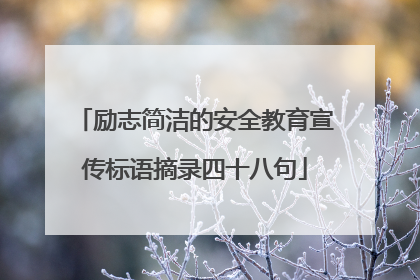 励志简洁的安全教育宣传标语摘录四十八句