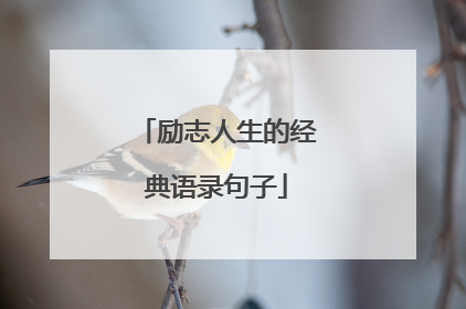 励志人生的经典语录句子