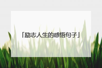 励志人生的感悟句子