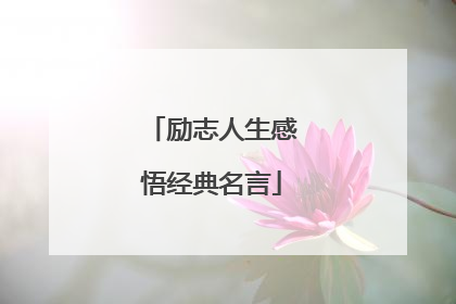 励志人生感悟经典名言