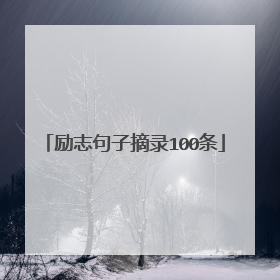 励志句子摘录100条