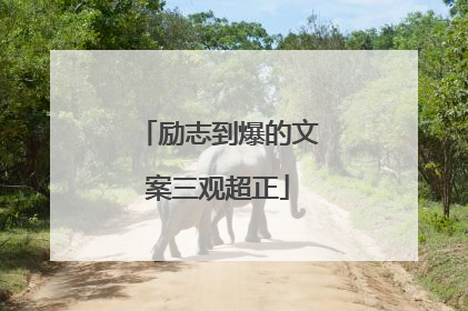 励志到爆的文案三观超正