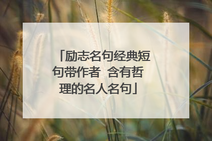 励志名句经典短句带作者 含有哲理的名人名句