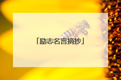 励志名言摘抄