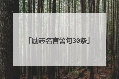 励志名言警句30条