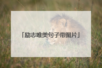 励志唯美句子带图片