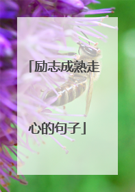 励志成熟走心的句子