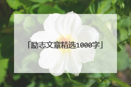 励志文章精选1000字