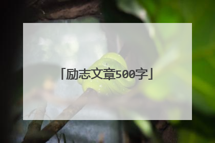 励志文章500字