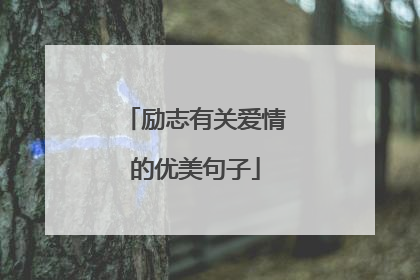 励志有关爱情的优美句子