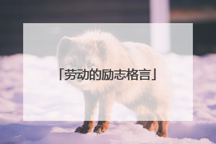 劳动的励志格言