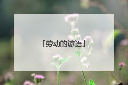 劳动的谚语