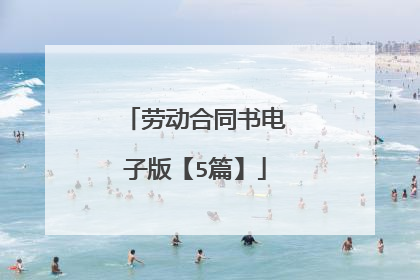 劳动合同书电子版【5篇】