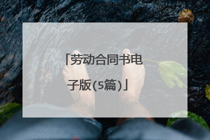 劳动合同书电子版(5篇)