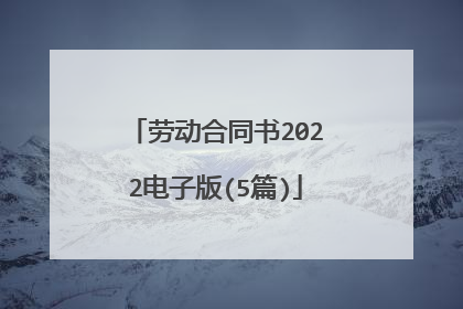劳动合同书2022电子版(5篇)