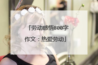 劳动感悟800字作文：热爱劳动