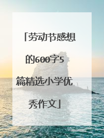 劳动节感想的600字5篇精选小学优秀作文