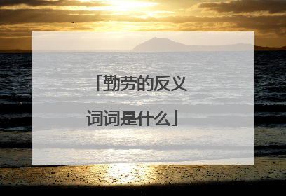 勤劳的反义词词是什么