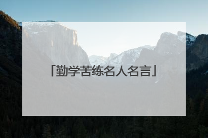 勤学苦练名人名言