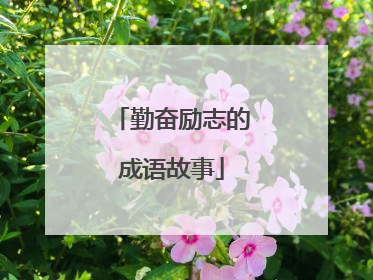 勤奋励志的成语故事