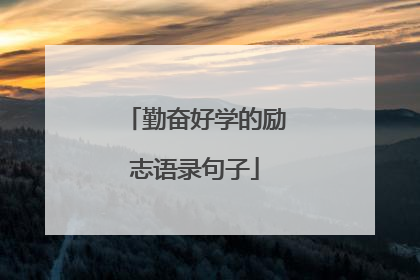 勤奋好学的励志语录句子