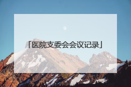 医院支委会会议记录