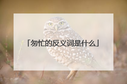 匆忙的反义词是什么